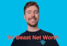 Mr Beast Net Worth