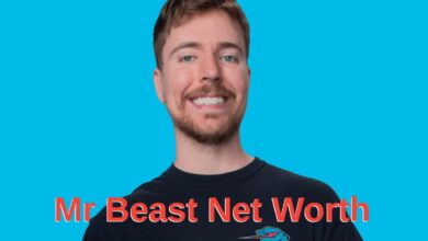 Mr Beast Net Worth