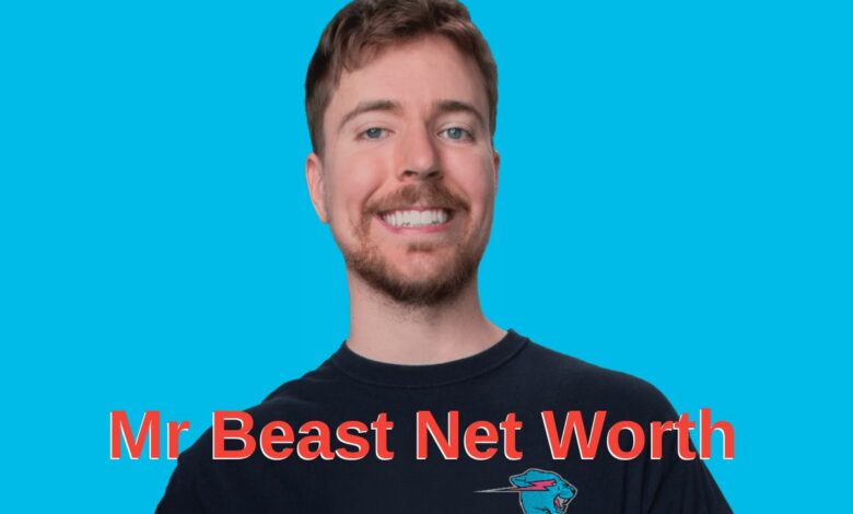 Mr Beast Net Worth