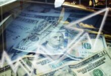 Net Worth TheBoringMagazine