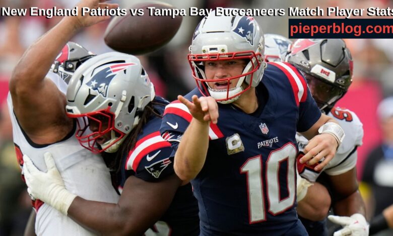 New England Patriots vs Tampa Bay Buccaneers Match Player Stats