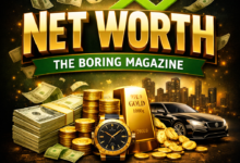 Net Worth The Boring Magazine