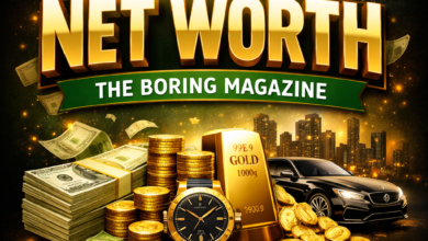 Net Worth The Boring Magazine