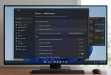 Windows 11 Performance Settings